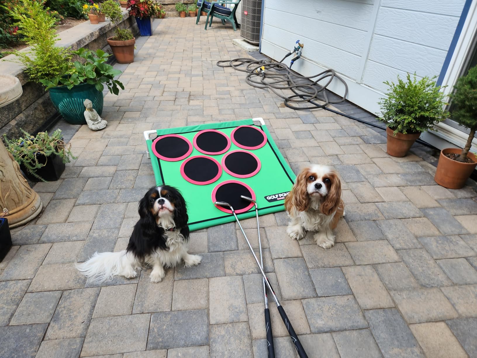 Precision Chip Target (2 pack)™